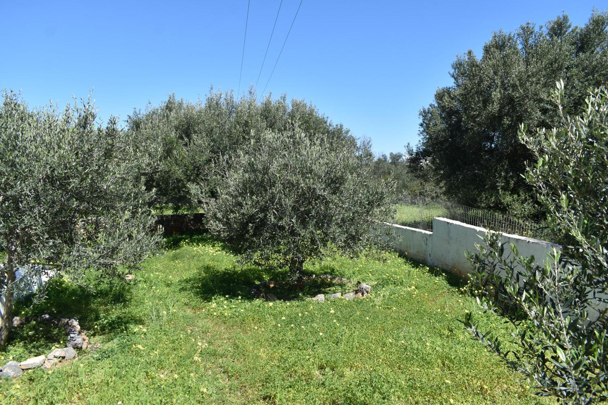 Elounda Holidays Achillea 外观 照片